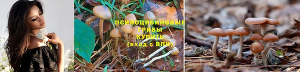 гашиш Вязьма